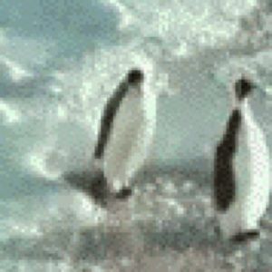 Meet your Posher, Stephen